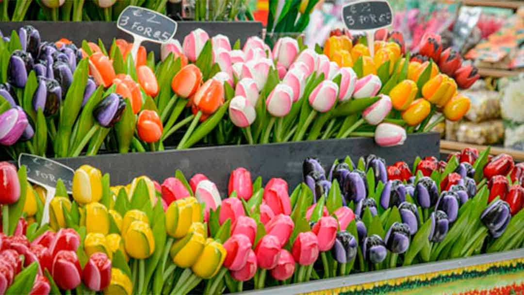Tulipanes en Bloemenmarkt