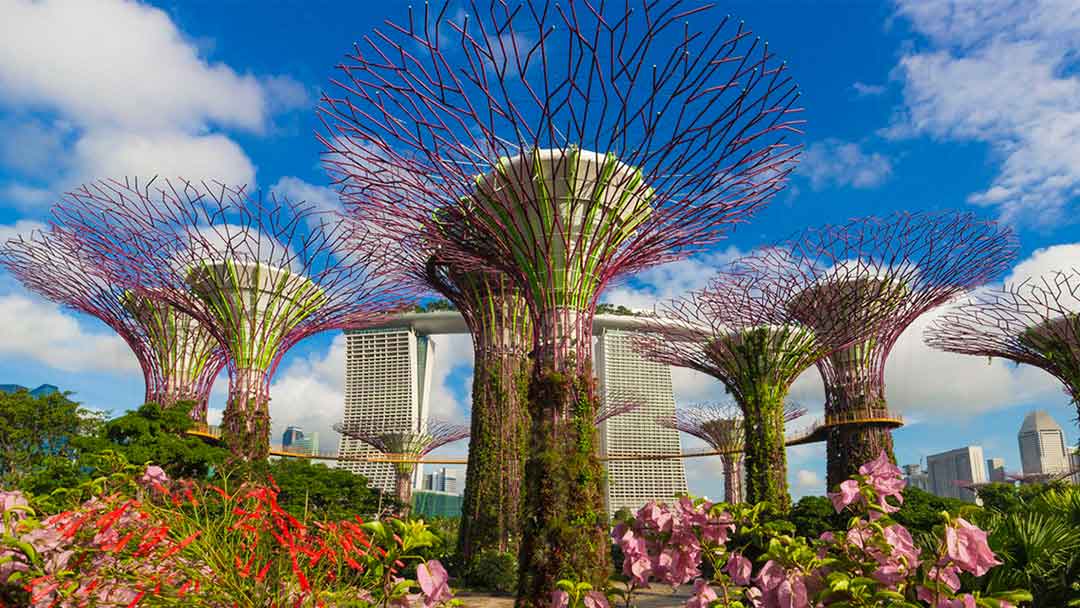 Gardens by the Bay 