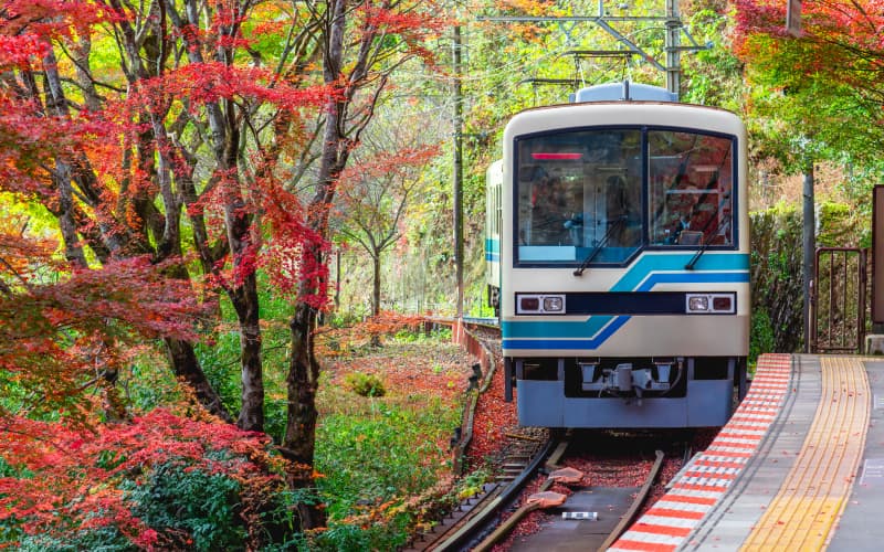 tren japones llegando a la estacion