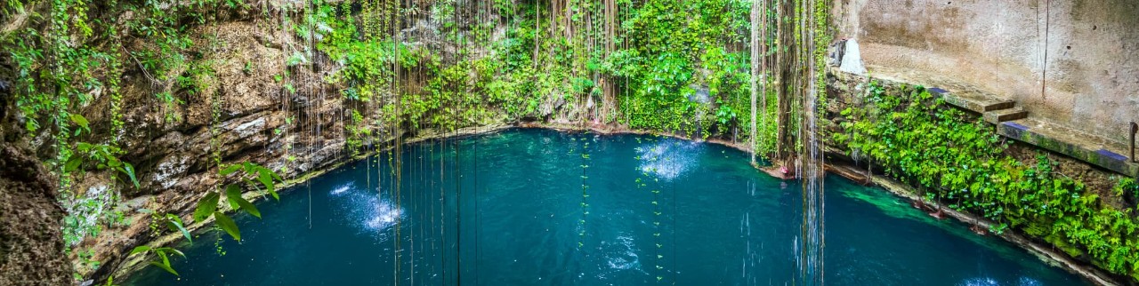 Descubre los cenotes mexicanos