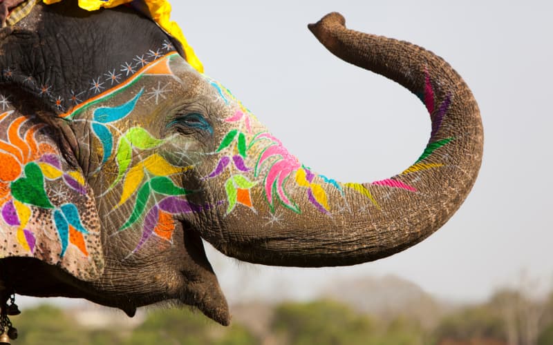 Festival de Jaipur, India