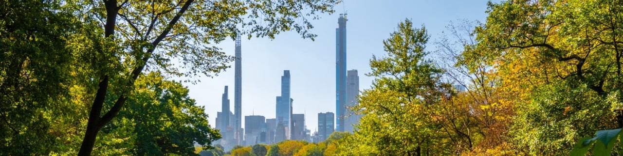 guia completa de viaje a nueva york