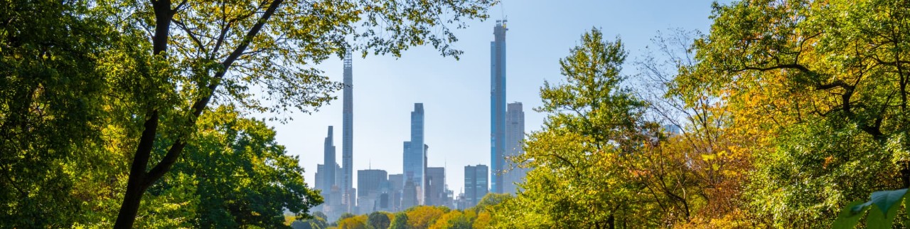 guia completa de viaje a nueva york