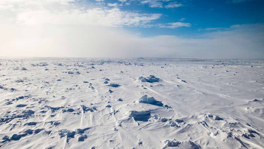 La Antártida y el desierto Ártico