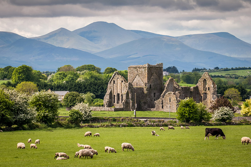 vistas al campo en irlanda