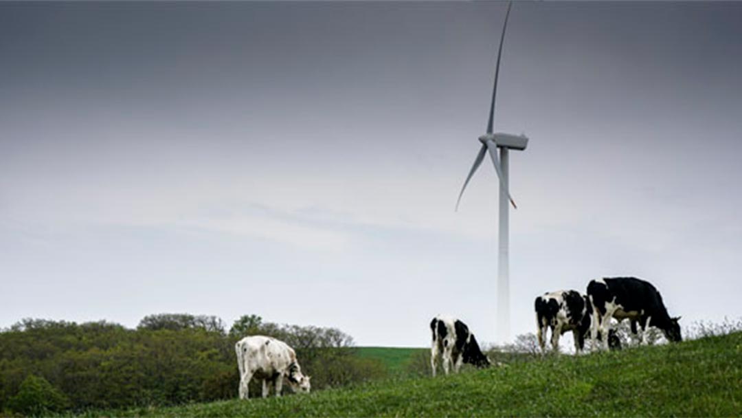 Turbina eólica proporcionando energía limpia.