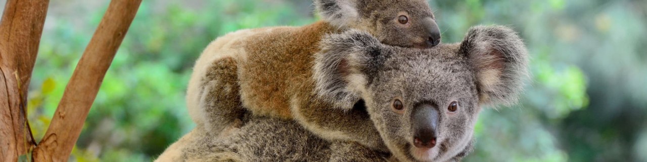 mujer viajando sola en transporte público en estados unidos