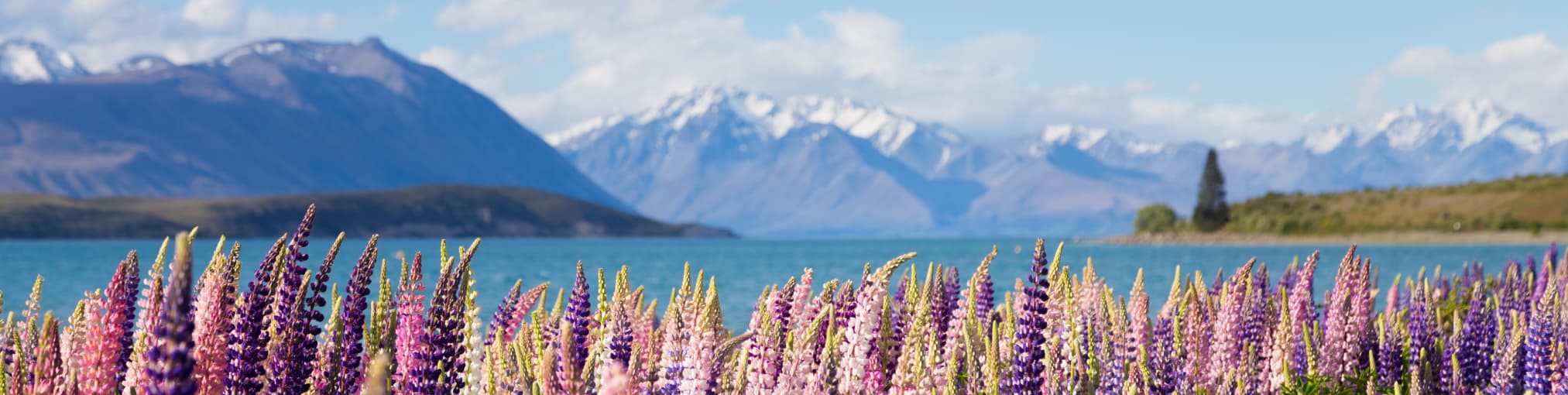 Un paisaje en Nueva Zelanda