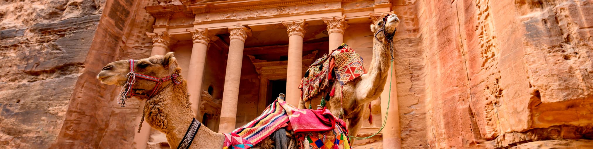 La pérdida, daño o robo de tu equipaje será menos estresante gracias a la cobertura incluida en los planes Silver y Gold.