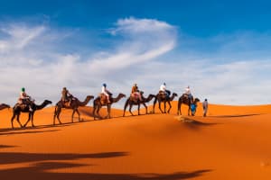 grupo de turistas recorriendo en camello el desierto de marrakech