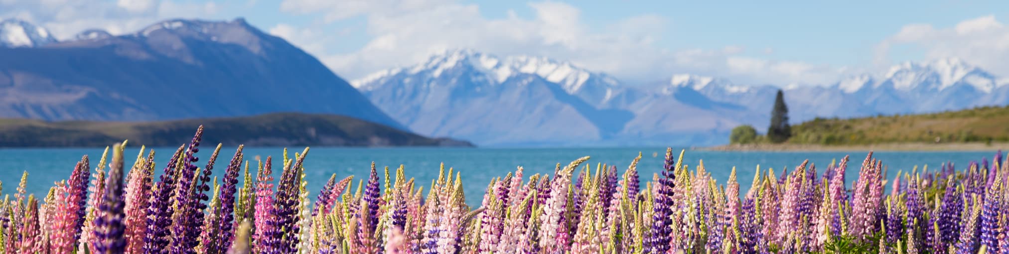 lago tekapo en nueva zelanda