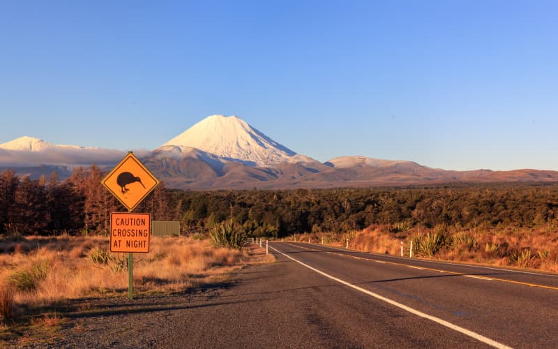carretera en el parque nacional de tongariro de nueva zelanda