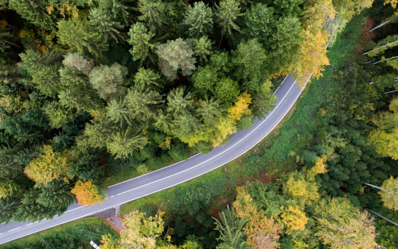 carretera vacía junto a un bosque en suiza