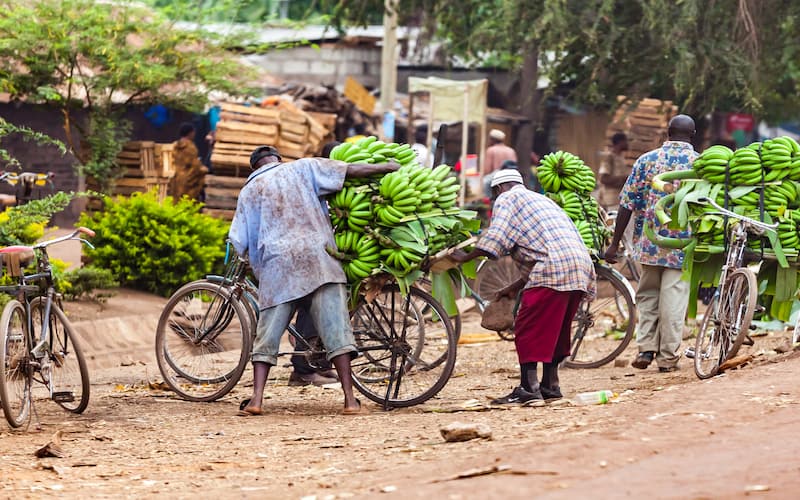 bananas en un mercado de tanzania
